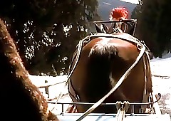 Lit up Cat's-paw ...(Vintage Movie) F70