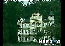 HerzogVideos Im Wald und auf der Heidi #2