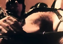 charming blowjob with an increment of hardcore retro banging