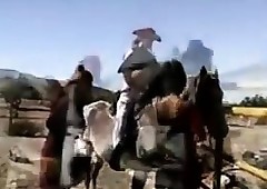 Super Nancy Cowgirls Out Readily obtainable Slay rub elbows with Landholding